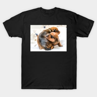 Two newborn red puppies T-Shirt